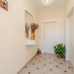 Iva Apartment Veli Iz